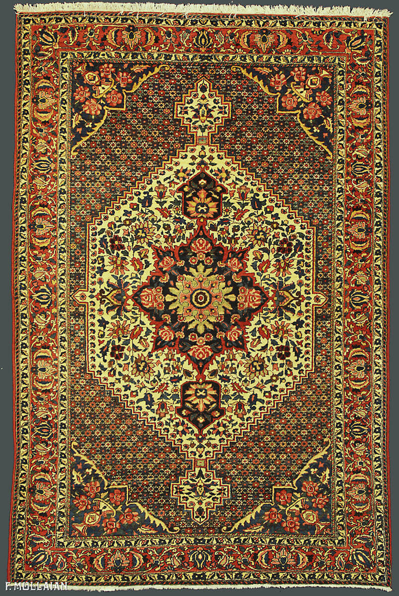 Persian Bakhtiari Antique Rug n°:43777326